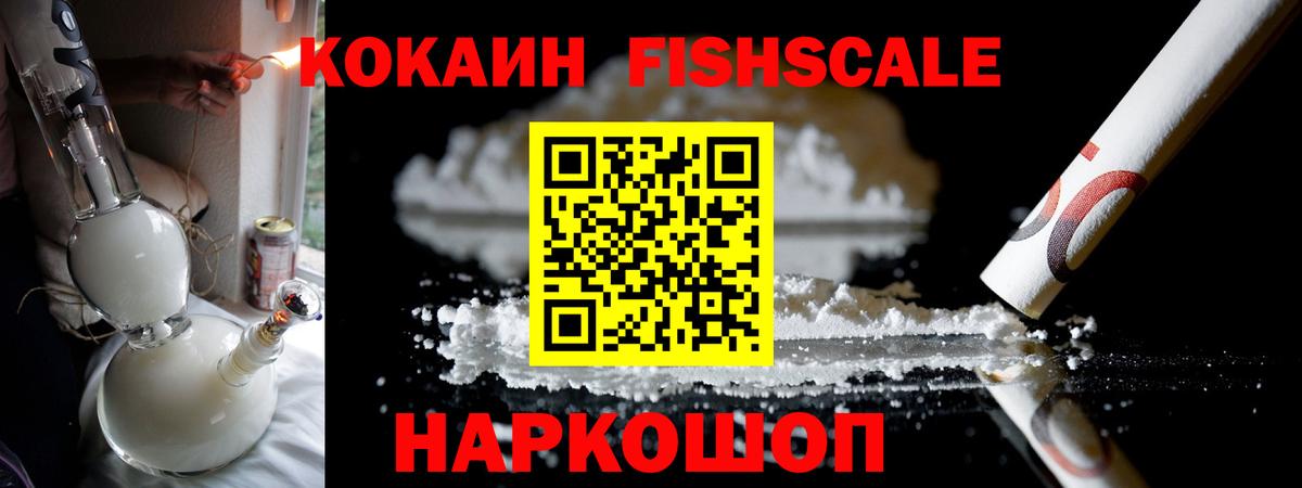 COCAIN Fish Scale  Вход с VPN  Нарьян-Мар 