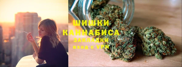 индика Ростов