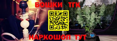 стаф Отрадный