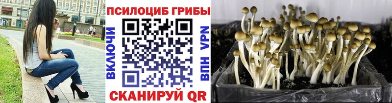 MEGA зеркало  darknet телеграм  Псилоцибиновые грибы MAGIC MUSHROOMS  купить наркотик  Нарьян-Мар 